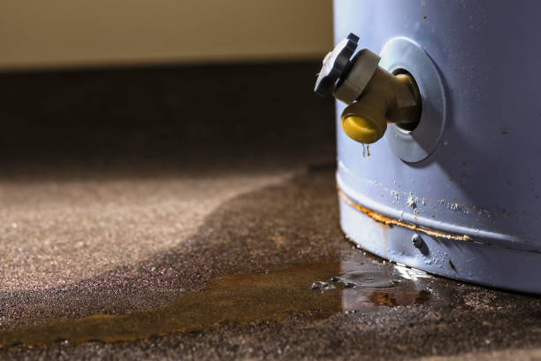 Best Local water damage restoration  in Jefferson, LA