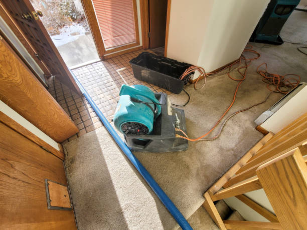 Best 24-hour water damage restoration  in Jefferson, LA