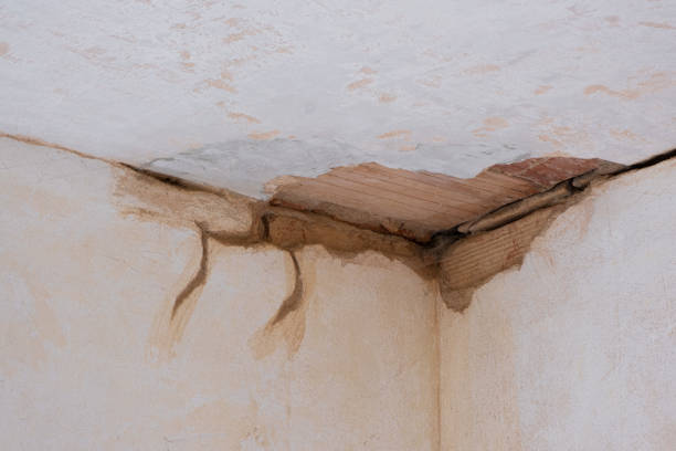 Best Water damage cleanup near me  in Jefferson, LA