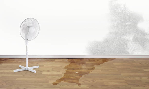 Best Water damage restoration experts  in Jefferson, LA