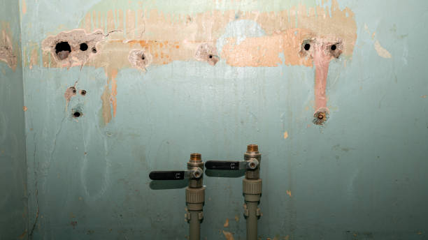 Best Water damage restoration process  in Jefferson, LA