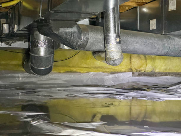 Best Flood damage cleanup  in Jefferson, LA