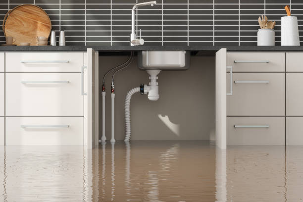 Best Basement water damage restoration  in Jefferson, LA