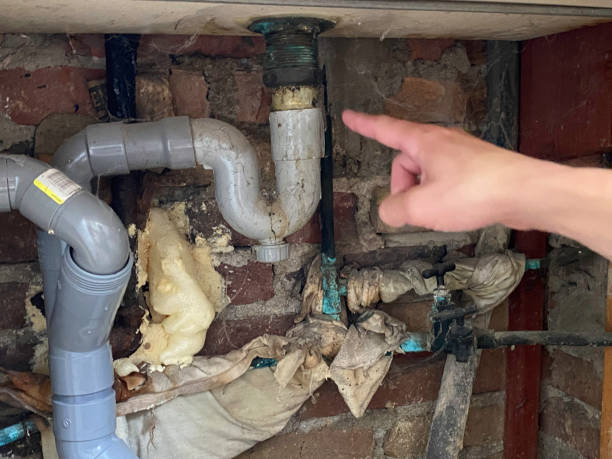 Best Ceiling water damage repair  in Jefferson, LA